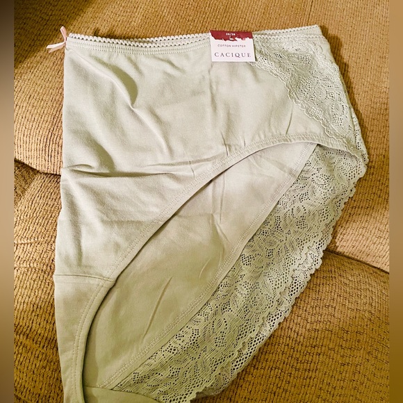 Panties Bundle (Lane Bryant) - Picture 6 of 7